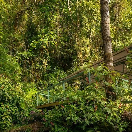 Hotel Quelitales Cachí Exteriér fotografie